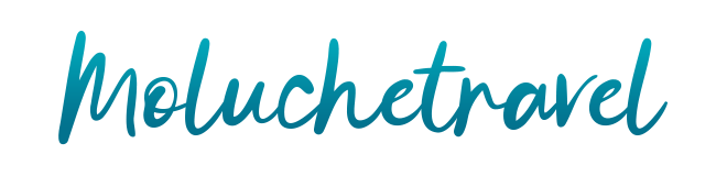 Moluche Travel – Experiencias de viaje en cada rincón del mundo!